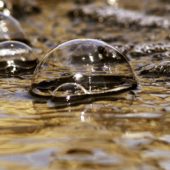 bubbles-51675_1920 bubbles-51675_1920